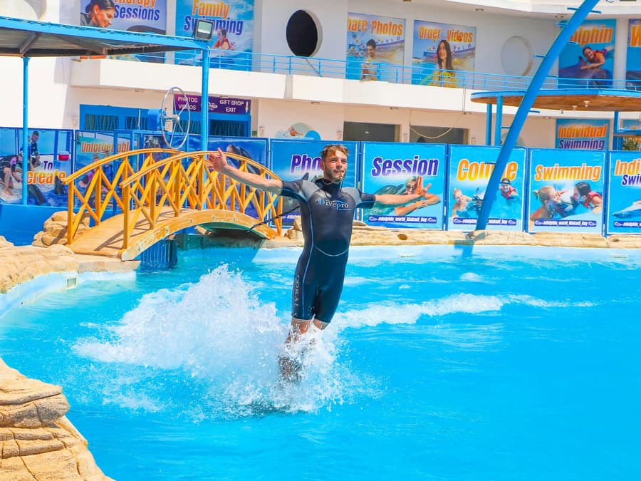 Hurghada Ultimate Dolphin Experience with Dolphin Show, Swimming Experience & Photo Session with Transfers
