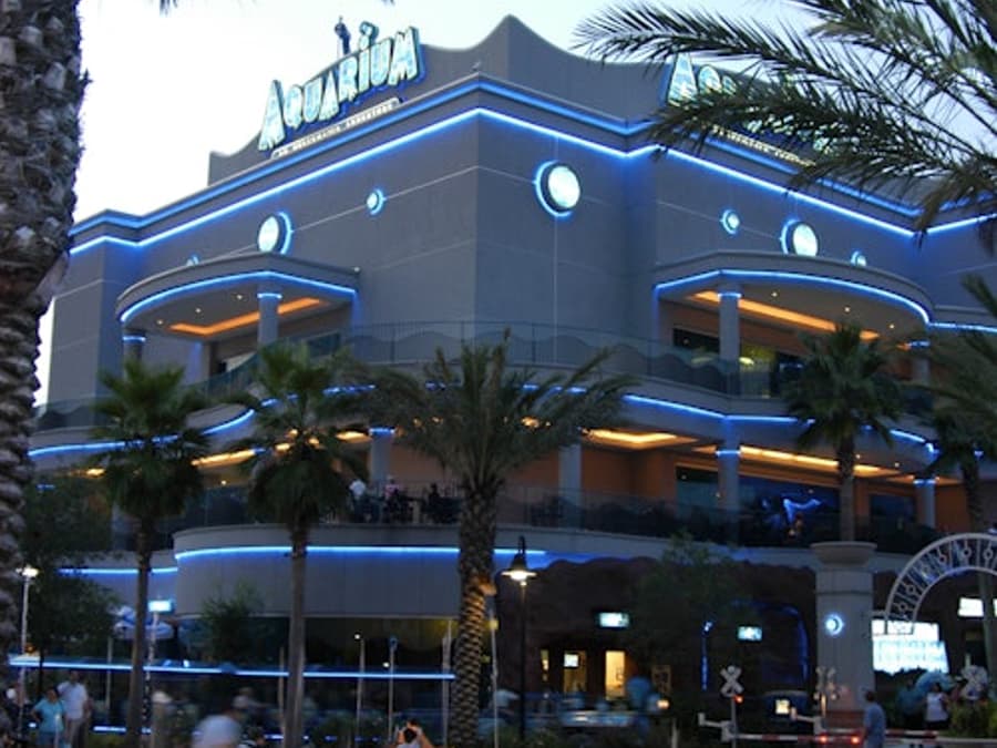 Downtown Aquarium Houston: Entry Ticket