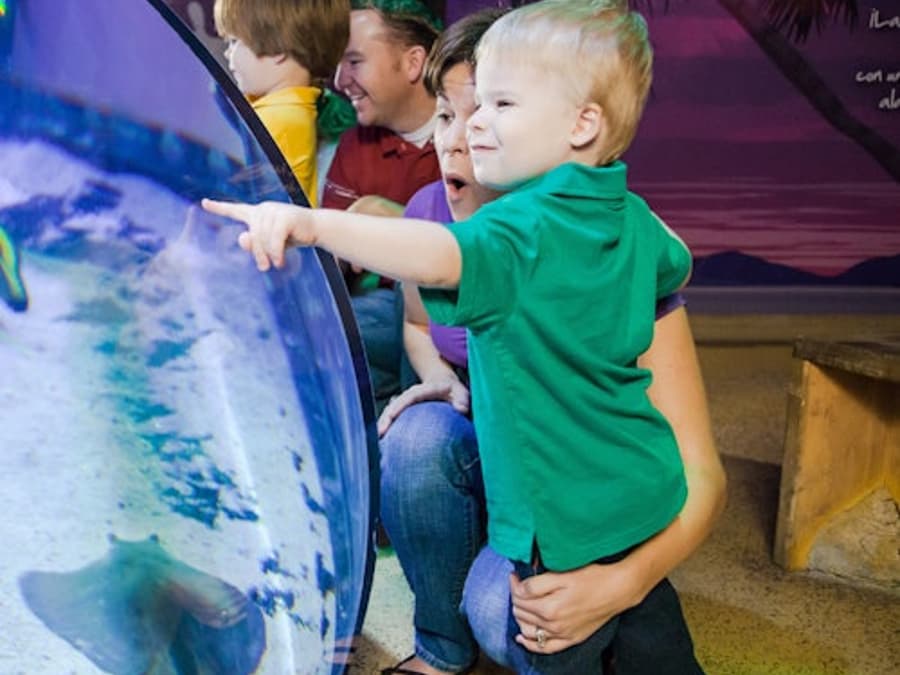 San Antonio Family Fun Pass
