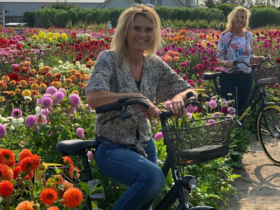 Bulb Region: Dahlia Gardens, Windmills & Castle Bike Tour