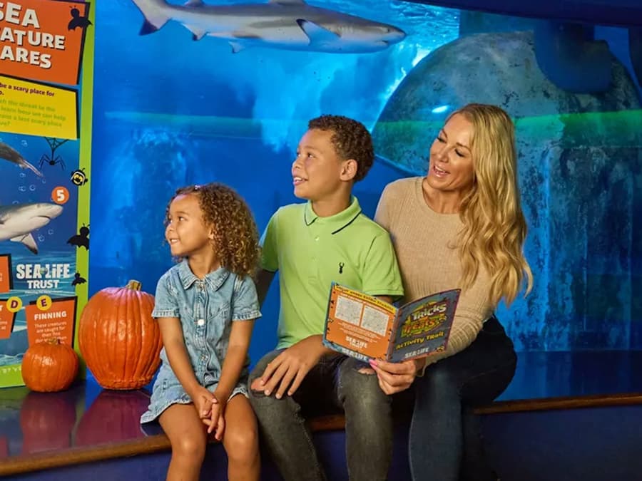 SEA LIFE Aquarium at American Dream: General Admission
