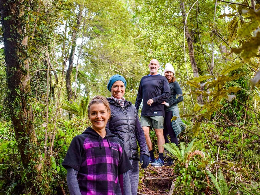 Franz Josef Scenic Cruise & Guided Rainforest Walk