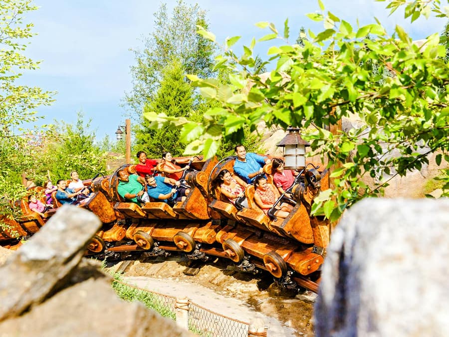 Walt Disney World Orlando 1-Day Tickets