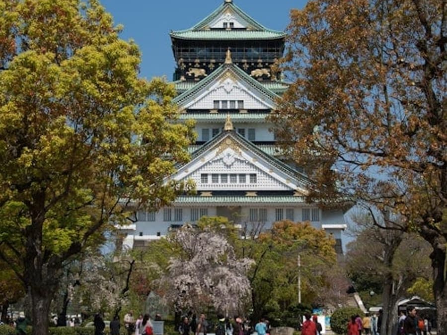 Château d'Osaka : Visite Guidée à Pied