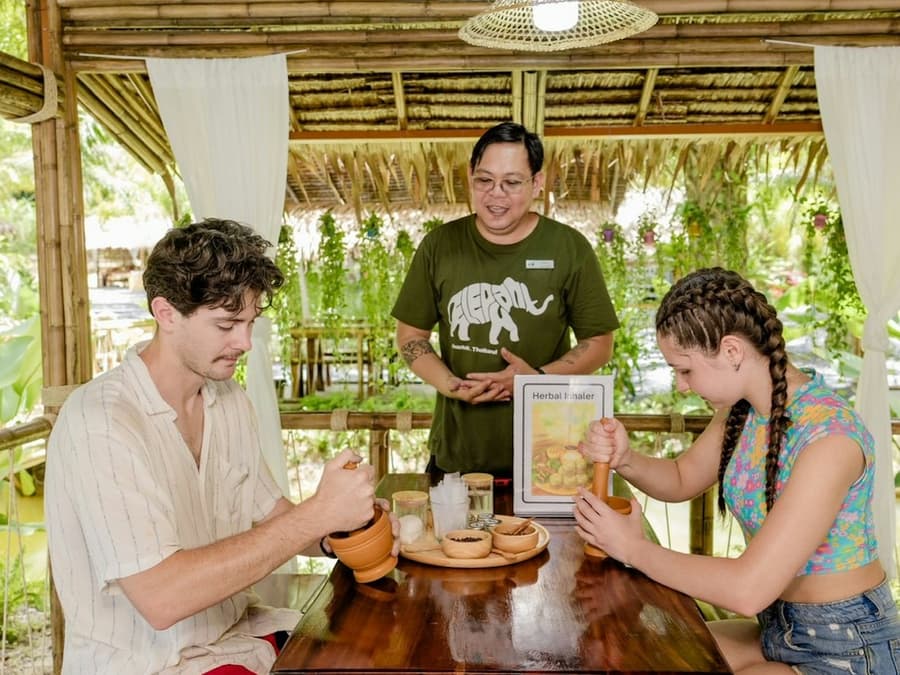 Khaolak Ethical Elephant Sanctuary: Guided Tour + Transfer + Thai Workshops