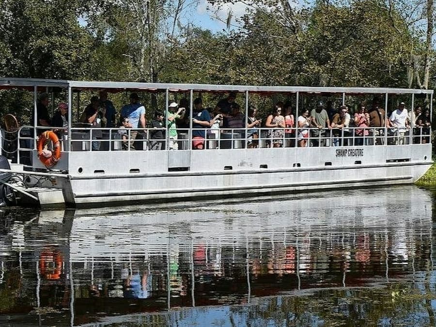 New Orleans: Guided Pontoon Boat Swamp Tour