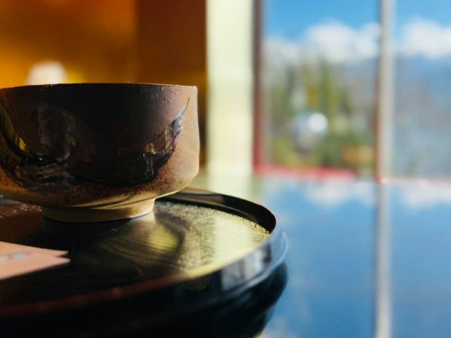 Mount Fuji & Gotemba Premium Outlets: Guided Day Tour from Tokyo + Tea Ceremony