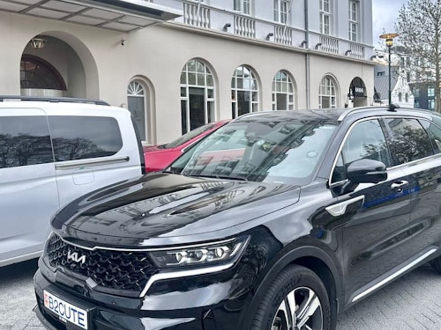 Reykjavik: Private Transfer from Skarfabakki Cruise Terminal to Keflavik Airport