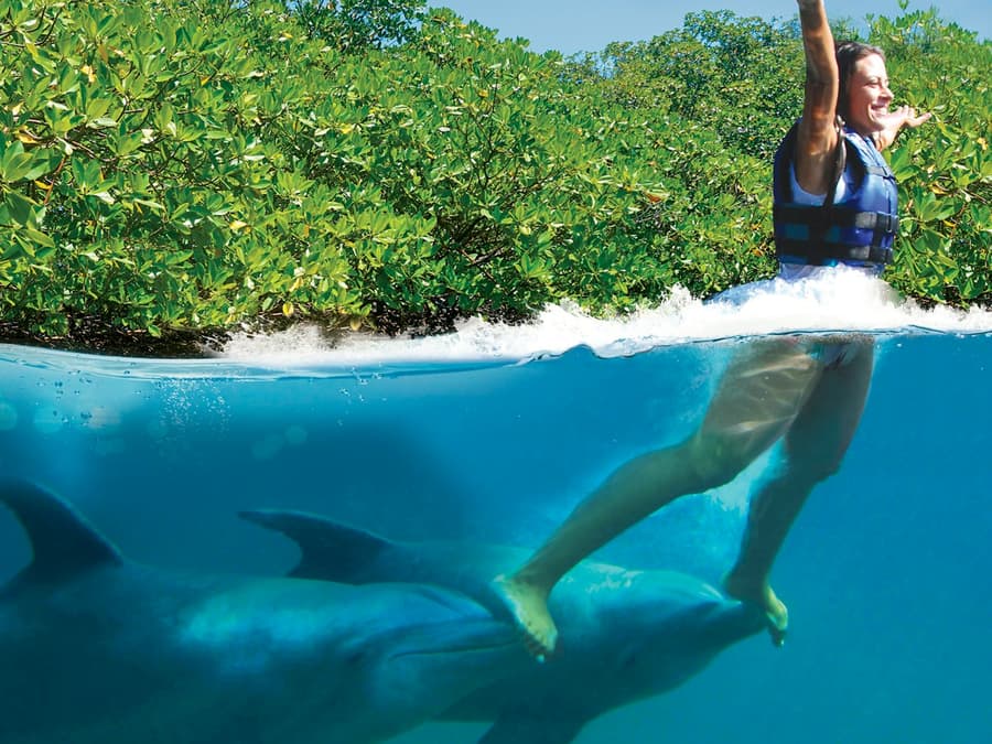 Delphinus Xcaret: Entry Ticket + Transfers + Swim with Dolphins