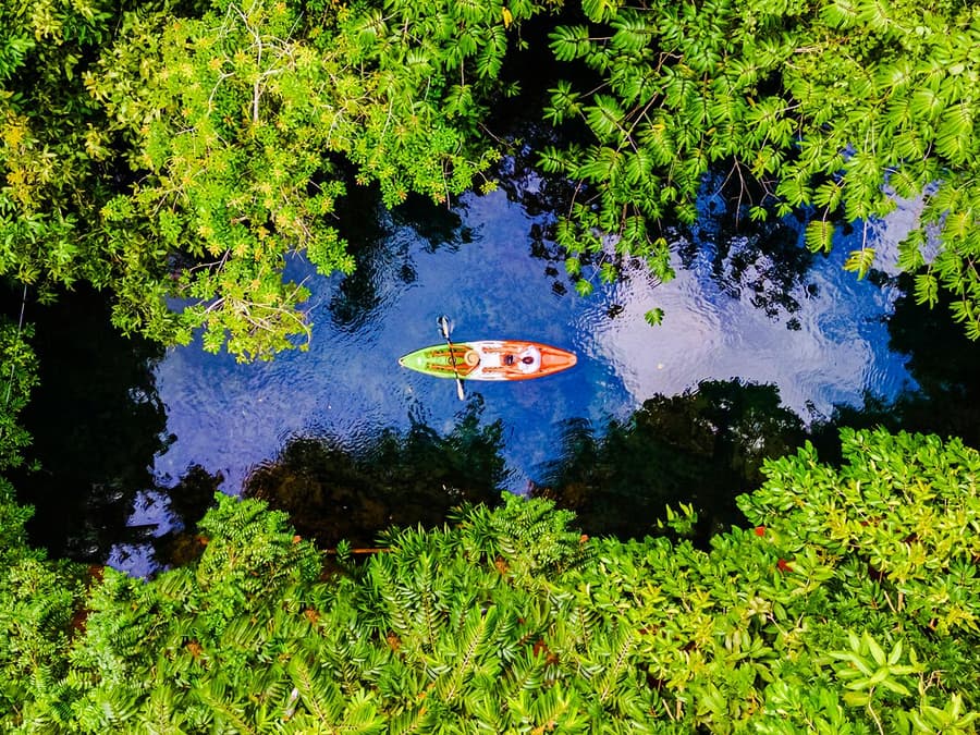 Krabi: Kayak Adventure through Ao Thalane Mangrove Forest