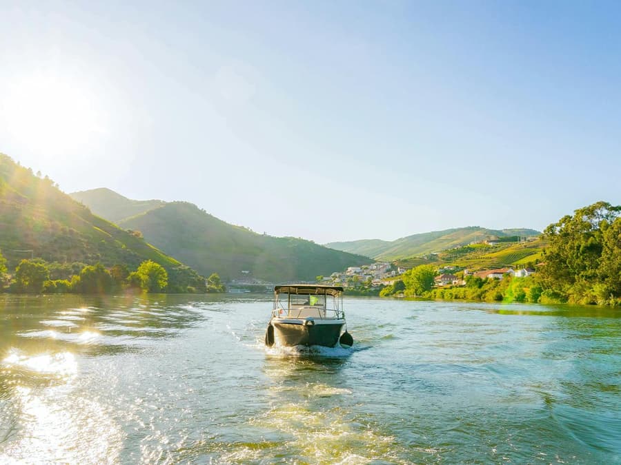 From Pinhão: Douro Valley Boat Tour with Wine Tasting and Lunch