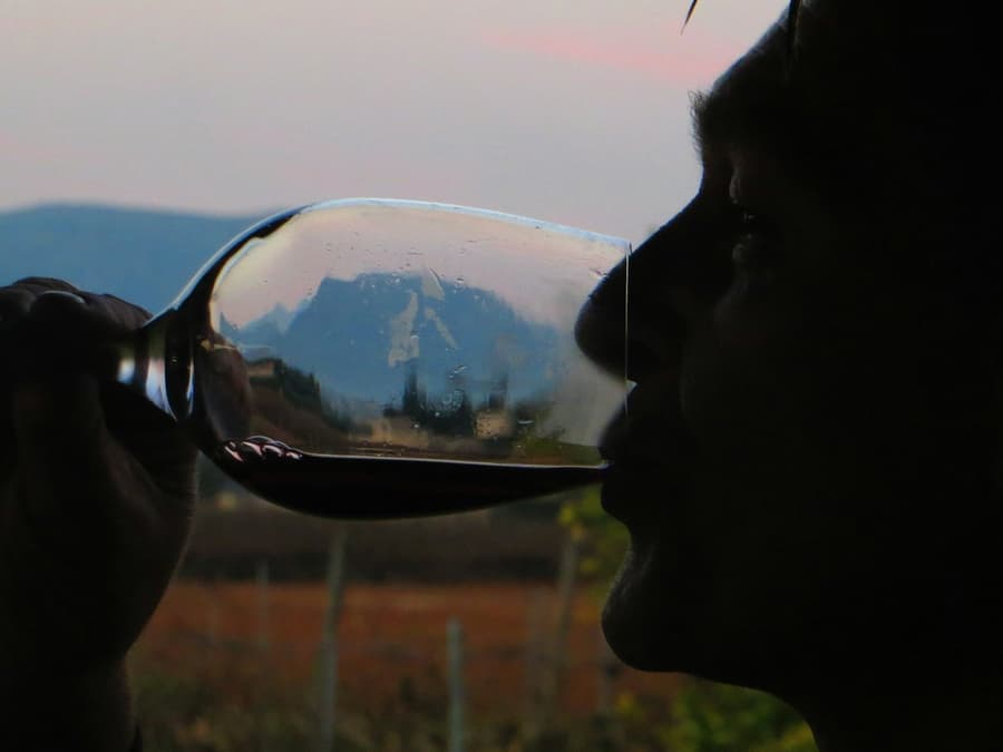Mallorca: Guided Winery Tour + Transfer + Wine Tasting
