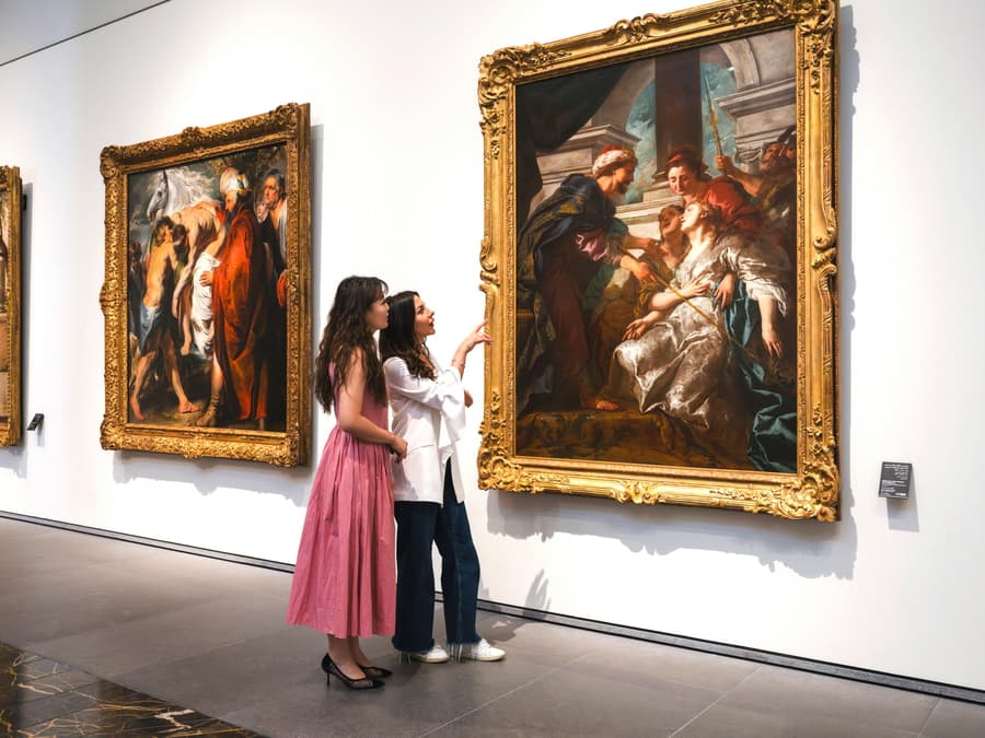 Saadiyat Cultural District Museum Pass: Louvre Abu Dhabi, Zayed National Museum & Natural History Museum Abu Dhabi