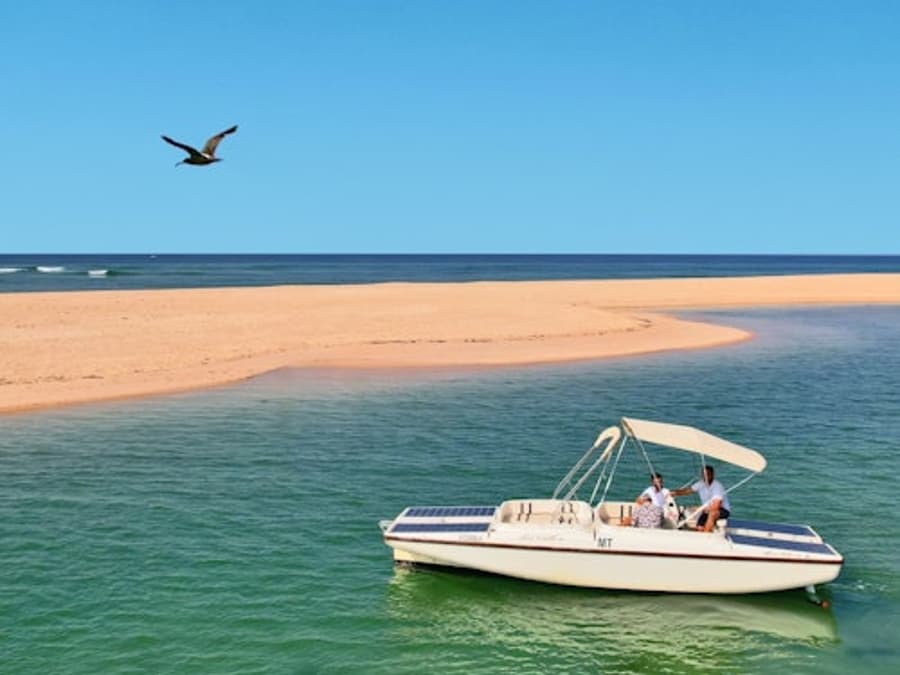 Ria Formosa: Ecological Boat Tour with Bird Watching from Faro