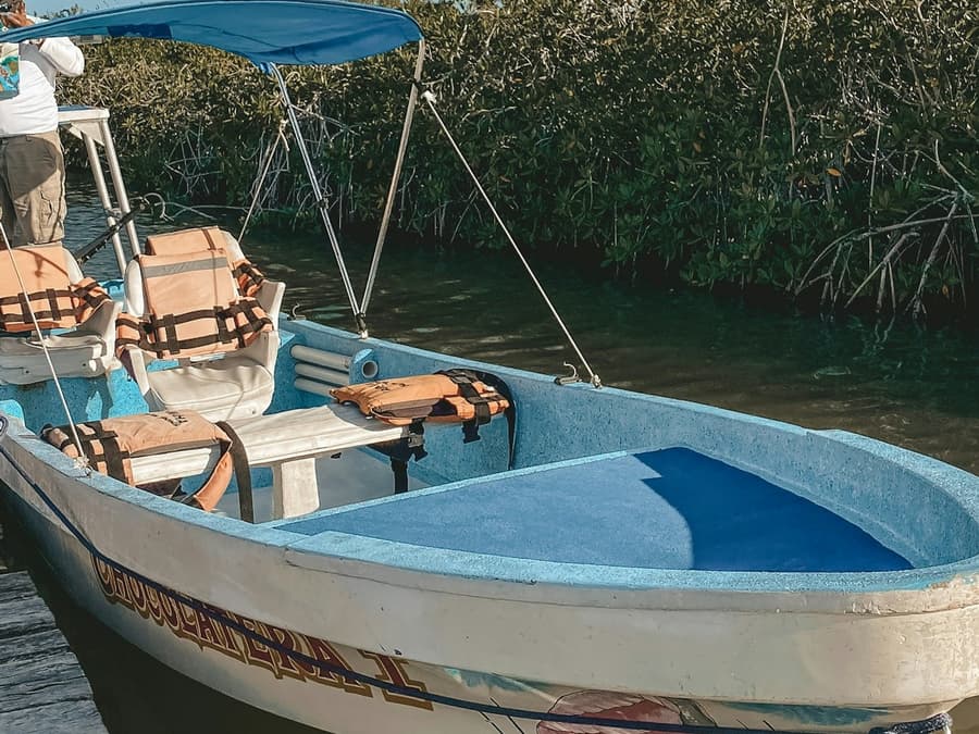 Sian Ka'an Reserve: Guided Tour, Entry Ticket, Transfer + Lunch