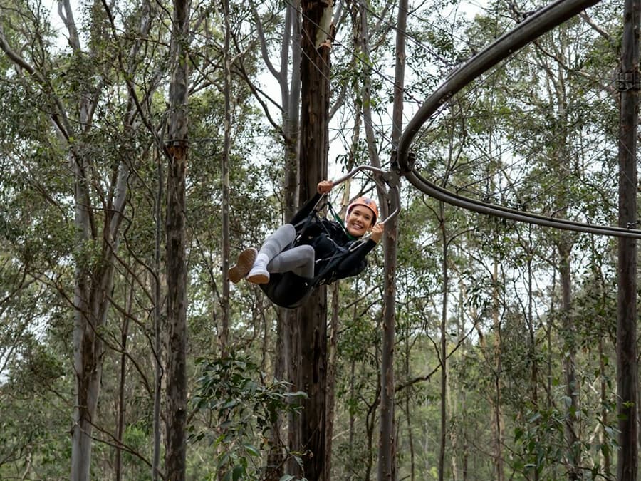 Treetops Adventure Central Coast: Zipcoaster Ride