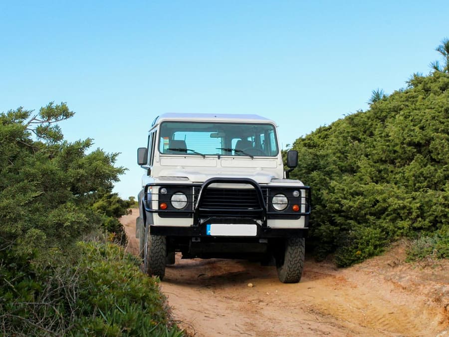 リスボンからの4x4ガイド付きジープツアー、カペ・エスピシェル、セシンブラ城、アルダイア・ド・メコ、アルラビダ自然公園