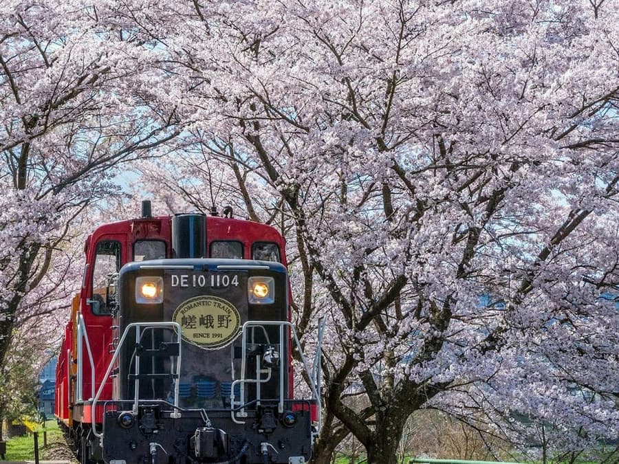 Sagano Romantic Train: One-Way Ticket