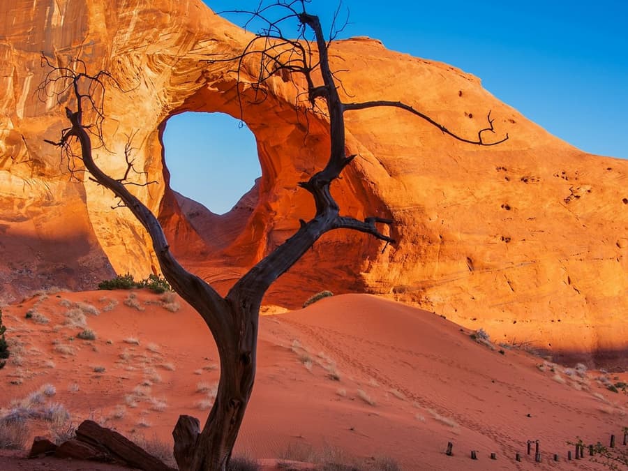 3.5 Hour Scenic & Cultural Tour of Lower Monument Valley