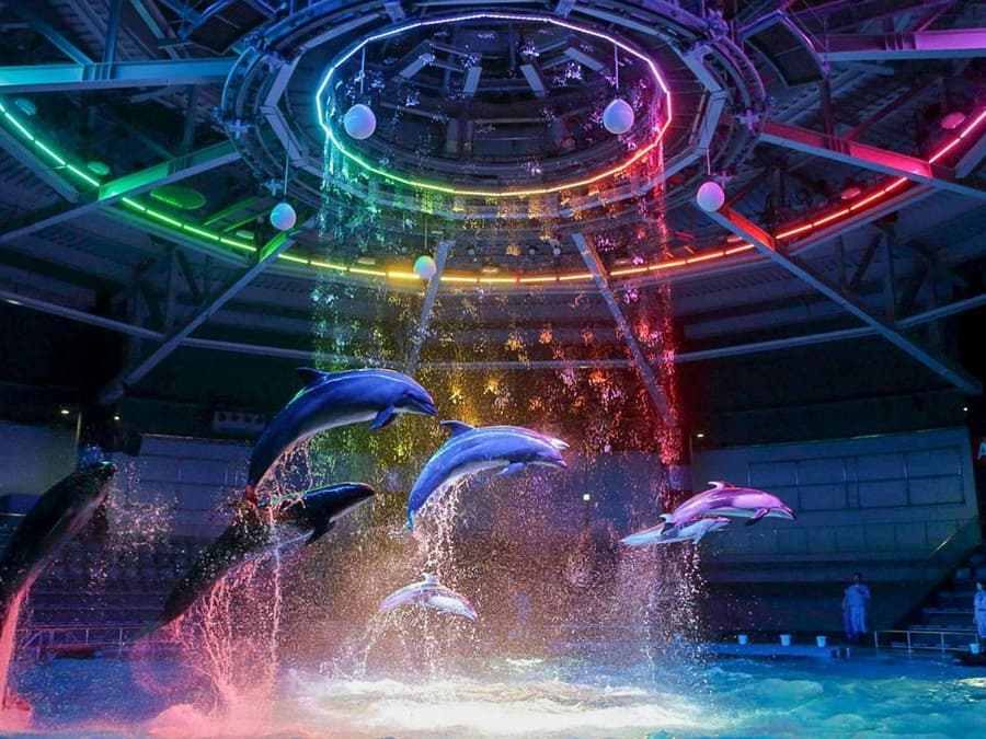 Maxell Aqua Park Tickets [E-Ticket]