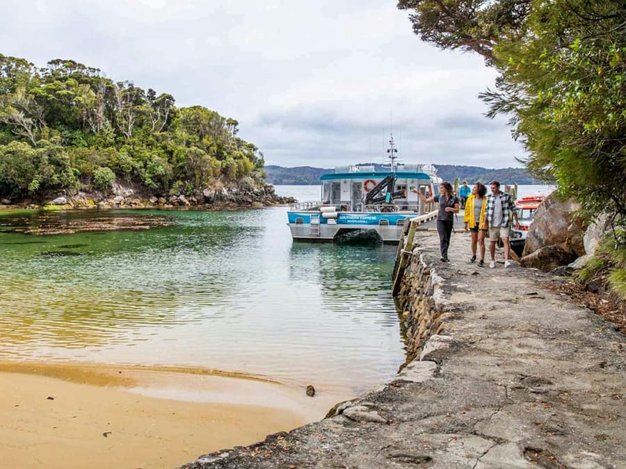 From Stewart Island: Ulva Island Explorer Tour with Paterson Inlet Cruise