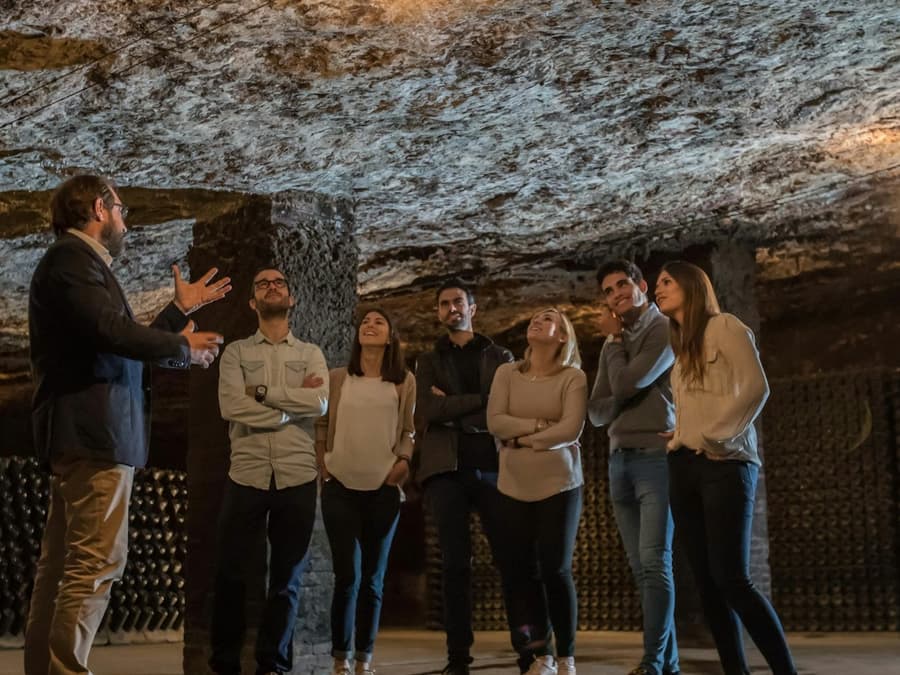 Cavas Freixenet: Guided Winery Tour & Tasting + Aperitif