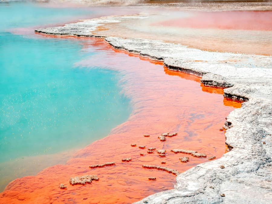 Wai-O-Tapu Thermal Wonderland Tickets