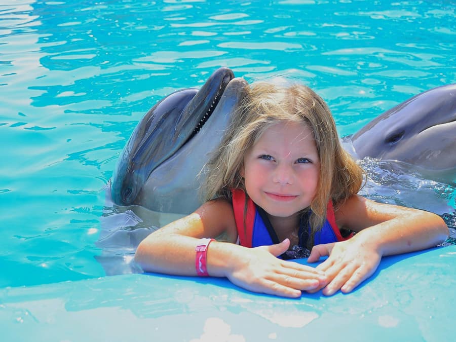 Hurghada Dolphin World Show & Meet-the-Dolphin Photo Experience with Transfers