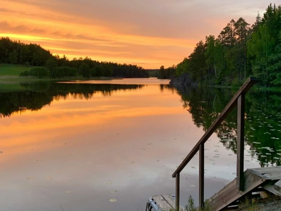Tyresta National Park: Sunset Hike + Roundtrip Transport + Dinner