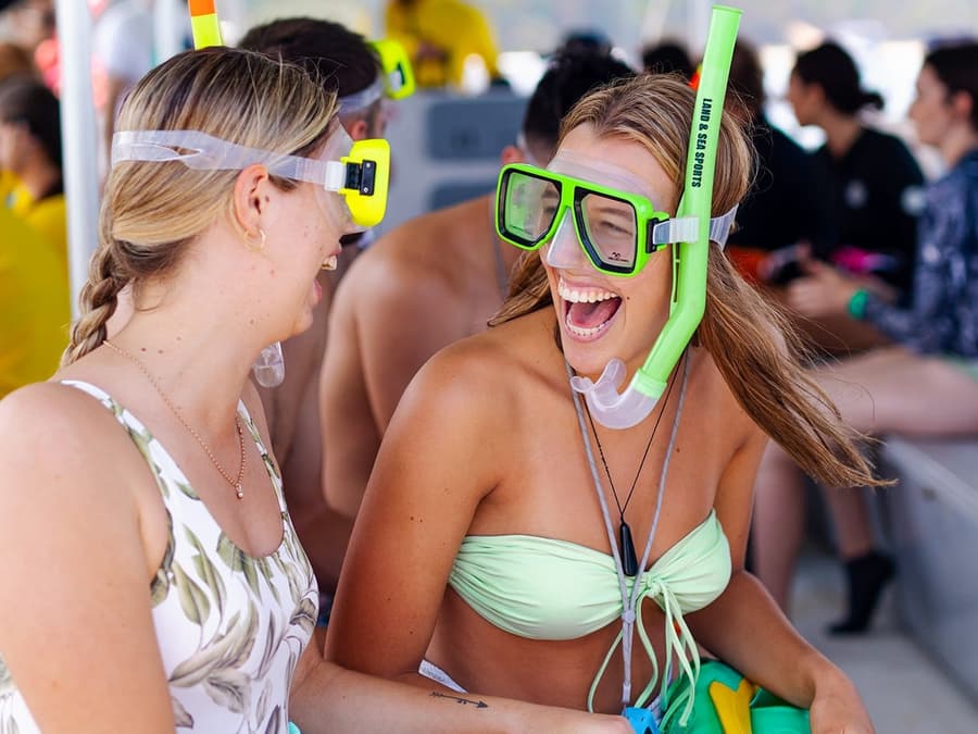 Moreton Island: Dolphin Eco-Cruise & Tangalooma Wrecks Snorkel Tour
