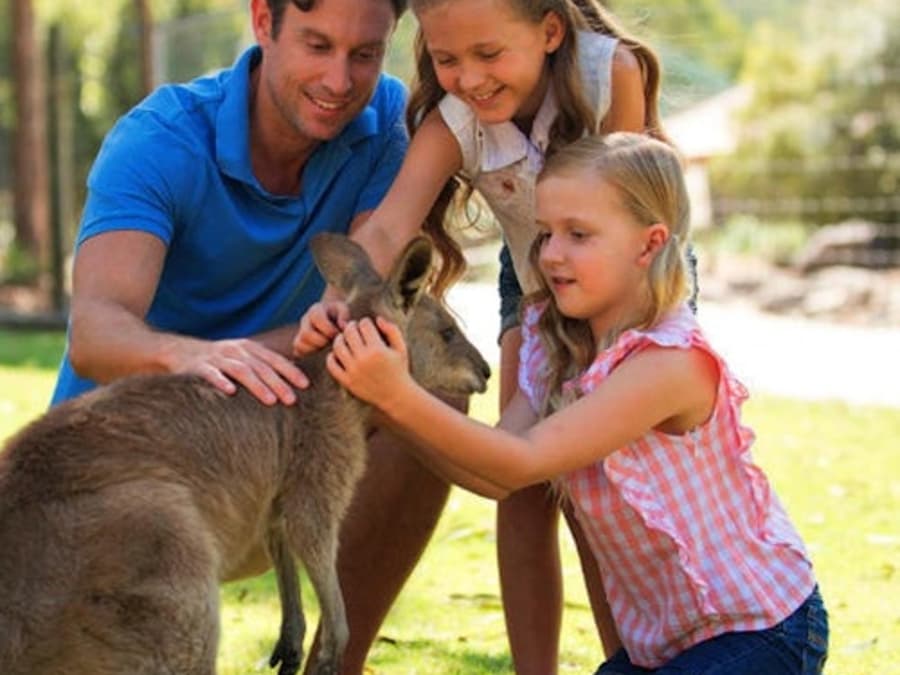 Paradise Country: Authentic Aussie Farm Experience