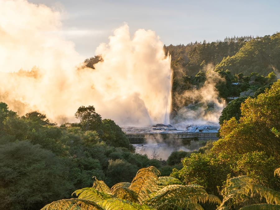 Te Puia: Te Rā Guided Experience