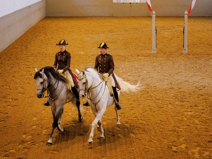 Visite guidée de l’École espagnole d’équitation