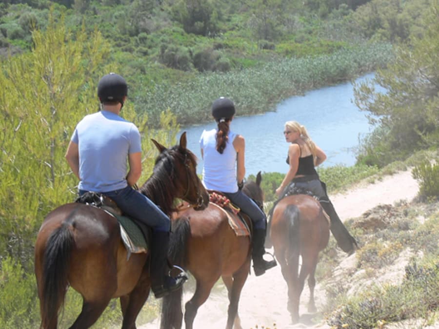 Horse Riding on the Beach in Mallorca