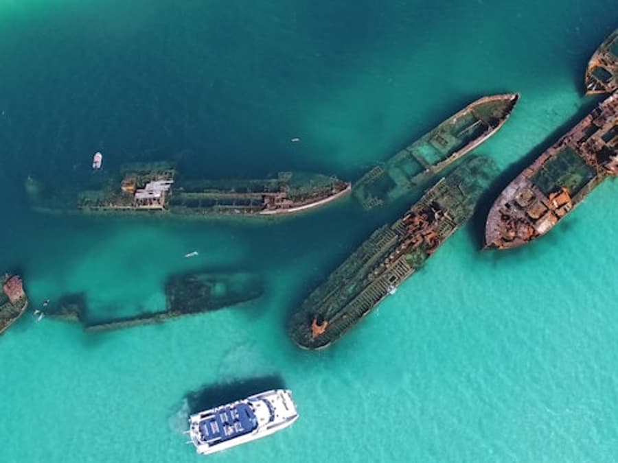 Tangalooma Wrecks & Dolphin Cruise from Brisbane