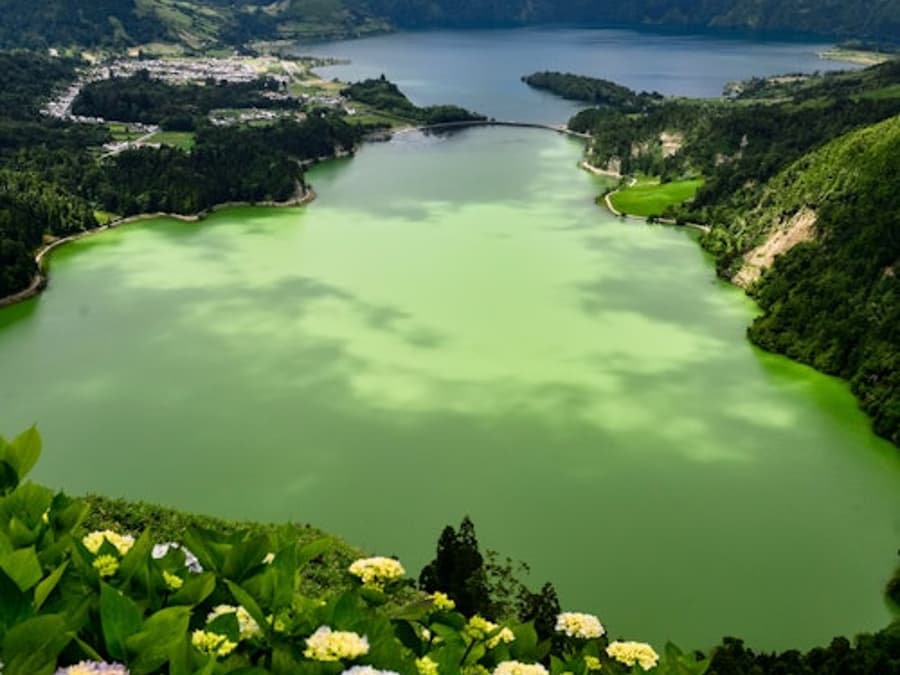 São Miguel Island: Full-Day Sete Cidades Guided Tour + Transfers