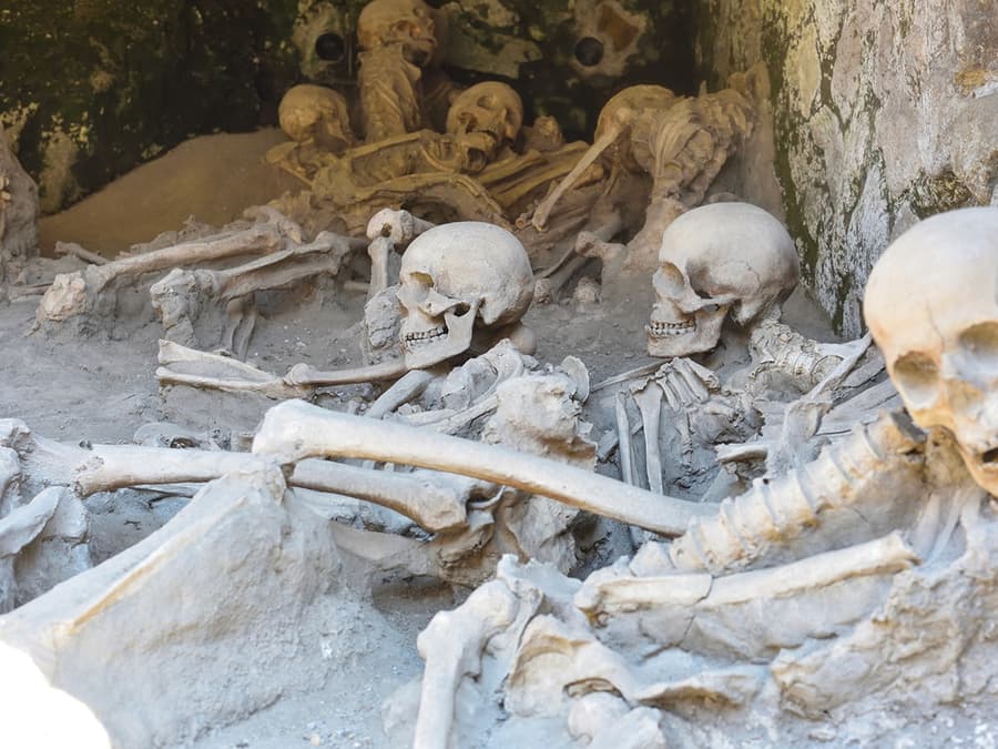 From Sorrento: Herculaneum Skip-the-Line Guided Tour