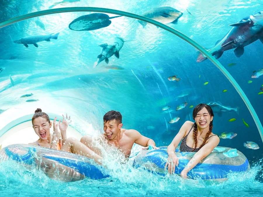 Adventure Cove Waterpark Tickets