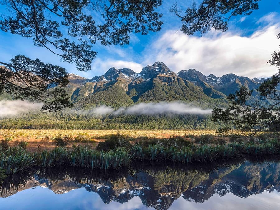 Desde Queenstown: Sobrevuelo Escénico y Crucero por Milford Sound