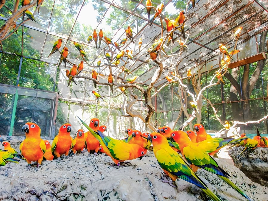 Safari World + Marine Park Tickets with Lunch and Optional Transfers