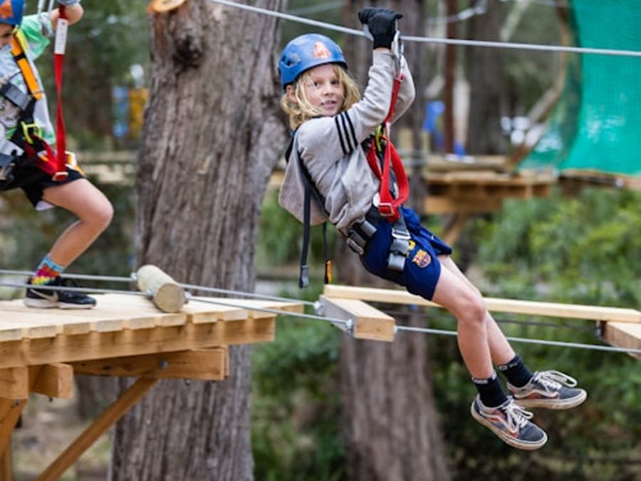 Treetops Adventure Newcastle: Percorso Junior tra Le Reti degli Alberi