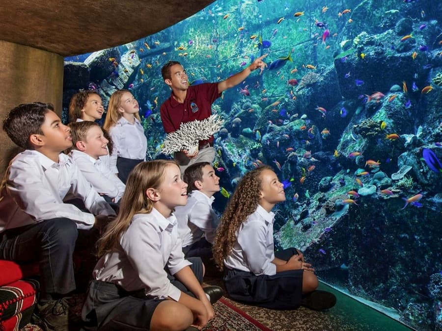 The Lost World Aquarium Tickets (Formerly The Lost Chambers)