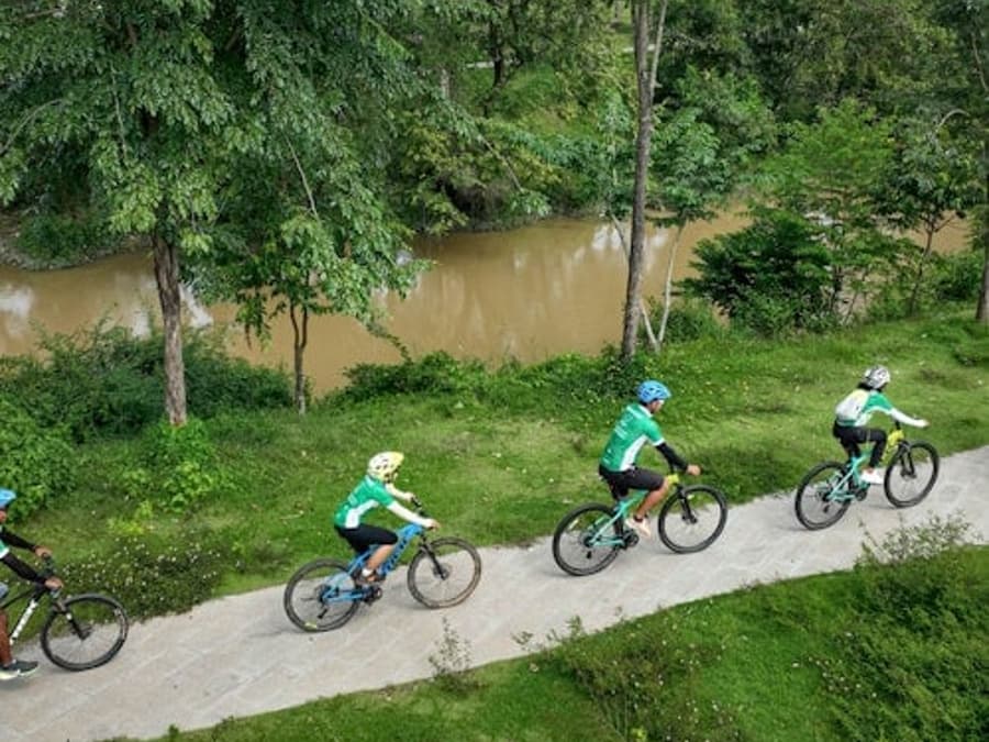 Siem Reap: Bike Day Trip + Theam's Gallery Entry Ticket