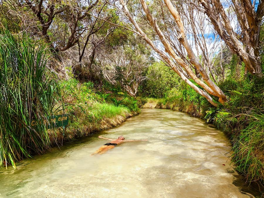 Vanaf Rainbow Beach: K'gari (Fraser Island) 1-daagse Klassieke Tour