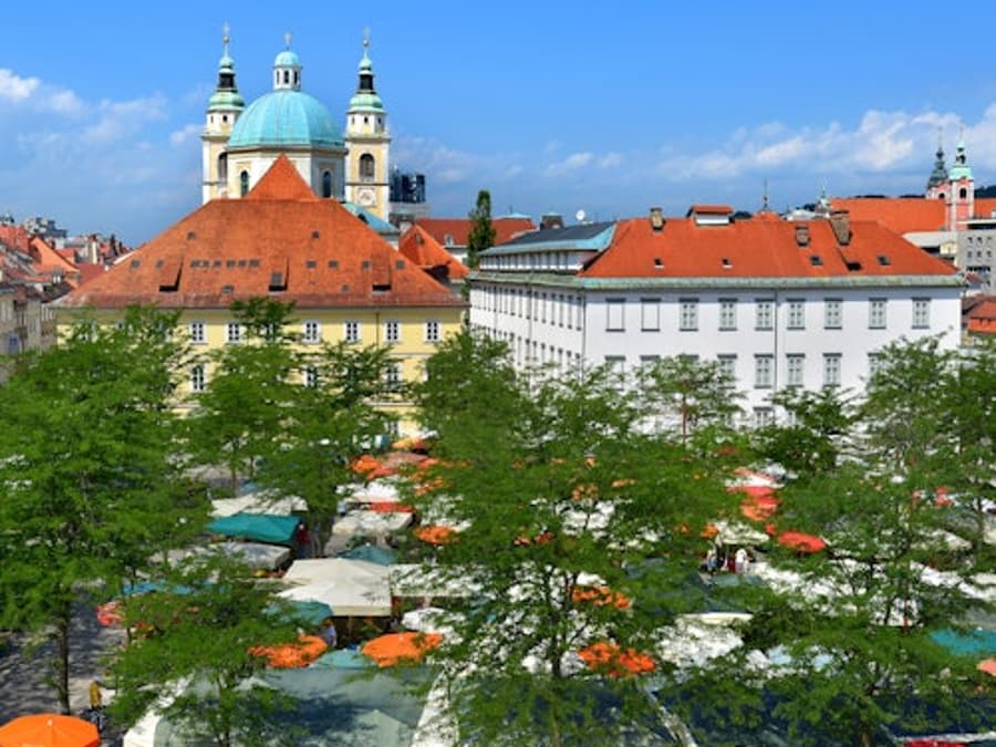 Ljubljana City Center & Ljubljana Castle: Guided Tour