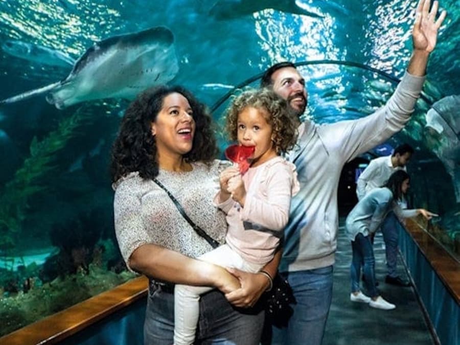 Loro Parque : Billet d'entrée + Pass Diamant