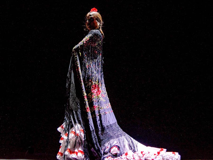Seville Flamenco Theatre - Passion Show