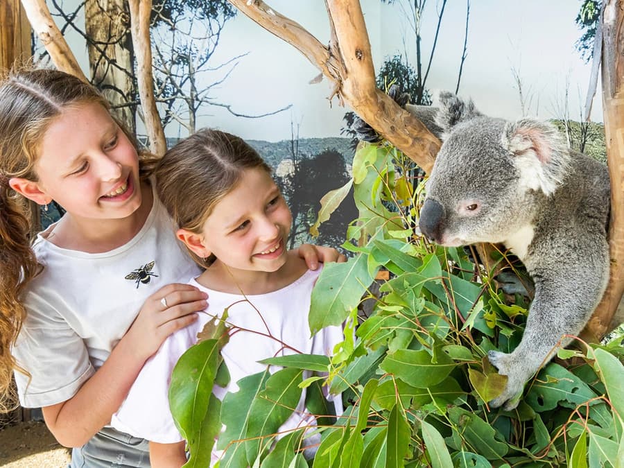 Blue Mountains Tour with Scenic World & Sydney Zoo