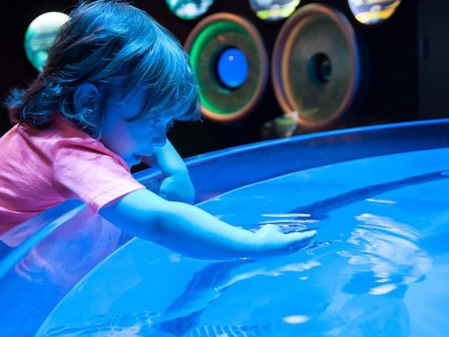 Biglietto d'ingresso per l'Acquario di Ripley a Myrtle Beach
