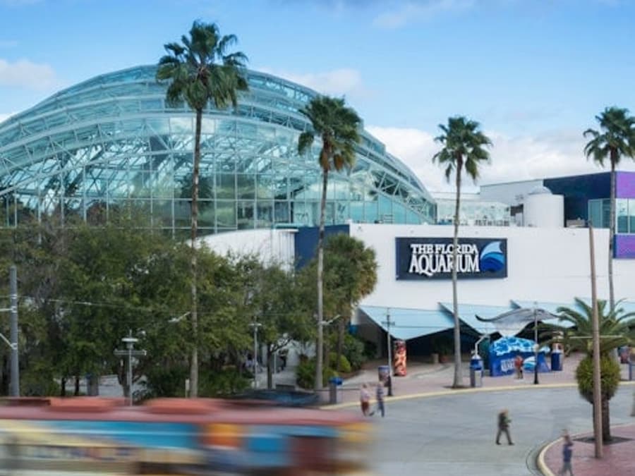 The Florida Aquarium: Entry Ticket